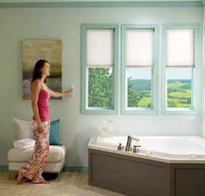 Lutron Motorized Shades